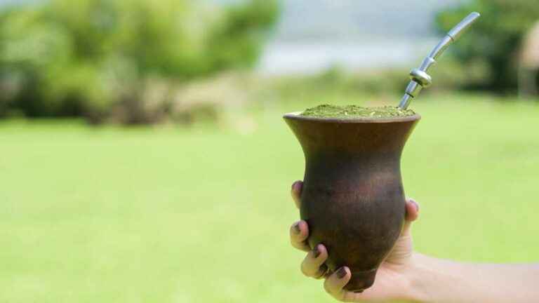 Qual a diferença entre tereré e chimarrão