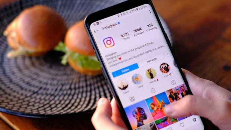 Painel de Seguidores Grátis: Como Conseguir Mais Seguidores no Instagram