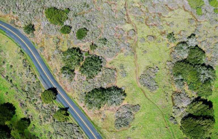 Serviço Topográfico Elemento Chave em Projetos de Construção e Planejamento