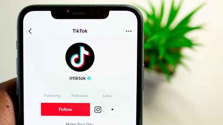 Como comprar seguidores TikTok baratos