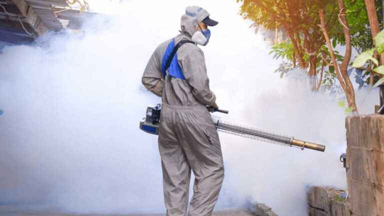 Combate a Dengue e Manutenção Urbana: A Importância das Desentupidoras na Prevenção de Epidemias