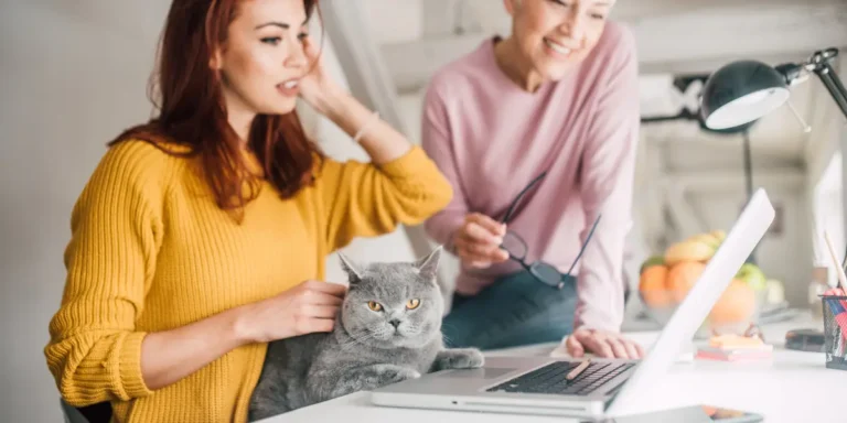 Coworking pet friendly