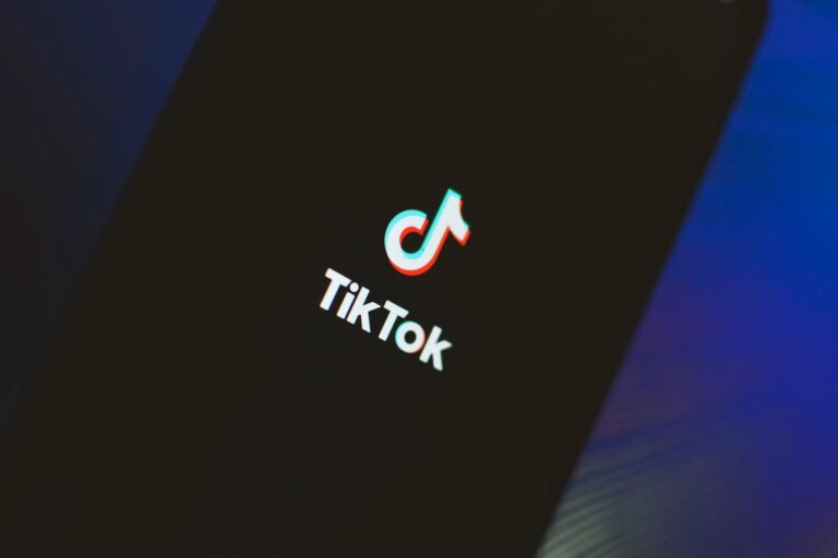 Quais são os nichos mais lucrativos no TikTok? Descubra como monetizar com inteligência
