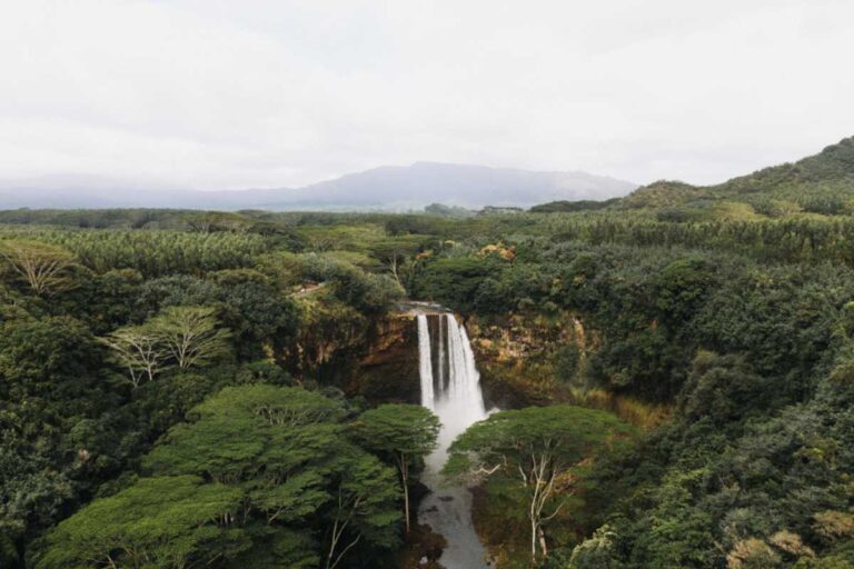 Por que o turismo ecológico está em alta e como aproveitar essa tendência