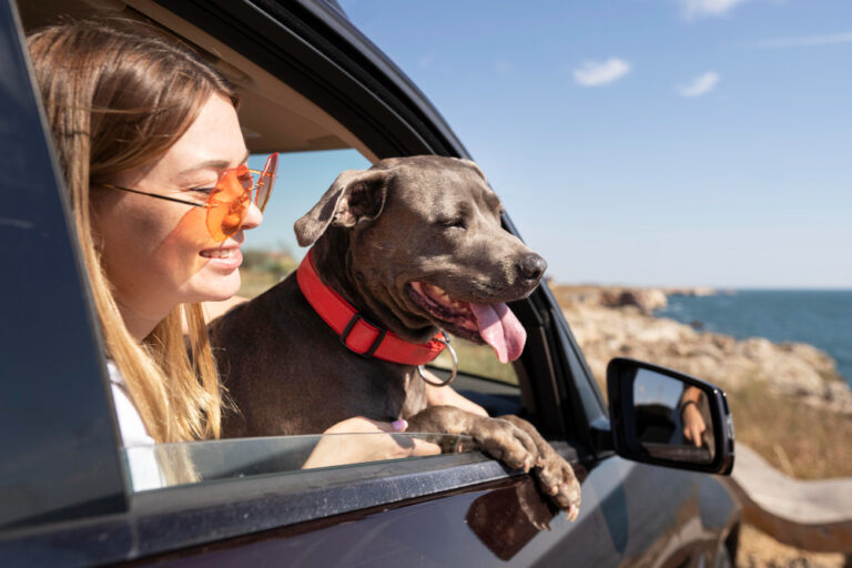 Viaje com seu pet: férias de verão com toda a família