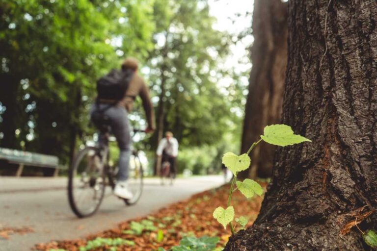 A Influência das Comunidades Locais na Sustentabilidade Urbana A Influência das Comunidades Locais na Sustentabilidade Urbana